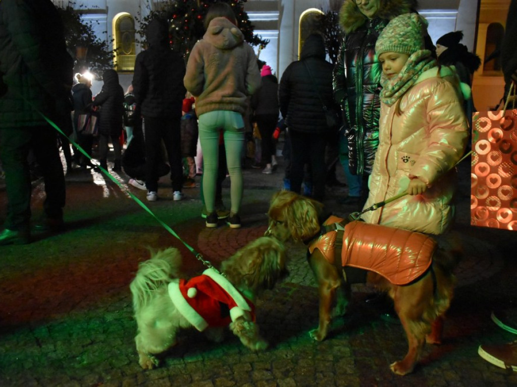 W centrum Grębocic ogromna choinka. Wspólnie zapalili lampki