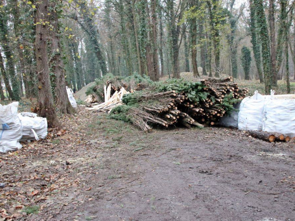 Park w Sławie będzie nie do poznania. Nowy mostek, ławki, posadzono już 100 drzew [Zdjęcia]
