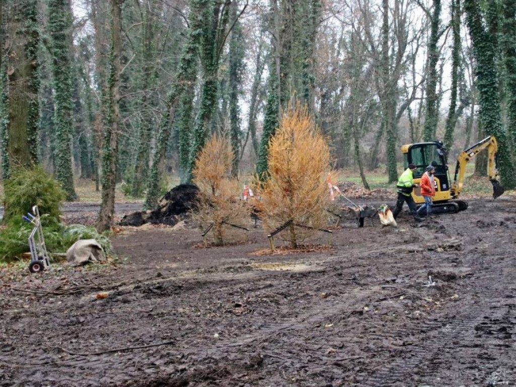 Park w Sławie będzie nie do poznania. Nowy mostek, ławki, posadzono już 100 drzew [Zdjęcia]