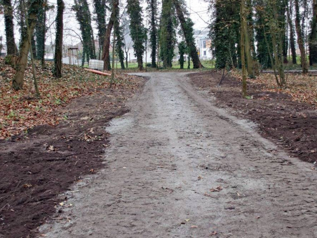 Park w Sławie będzie nie do poznania. Nowy mostek, ławki, posadzono już 100 drzew [Zdjęcia]