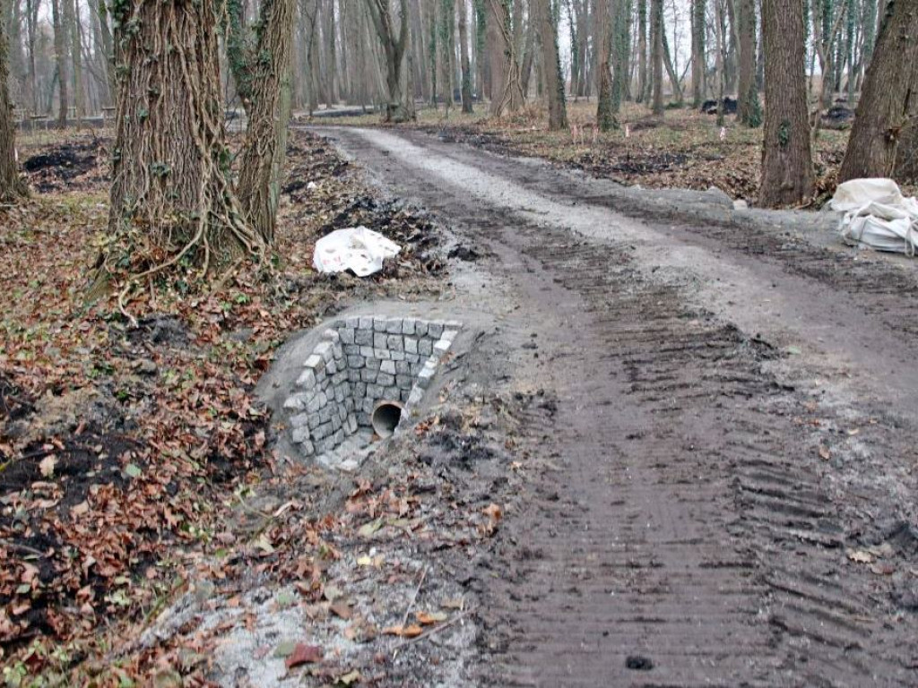 Park w Sławie będzie nie do poznania. Nowy mostek, ławki, posadzono już 100 drzew [Zdjęcia]