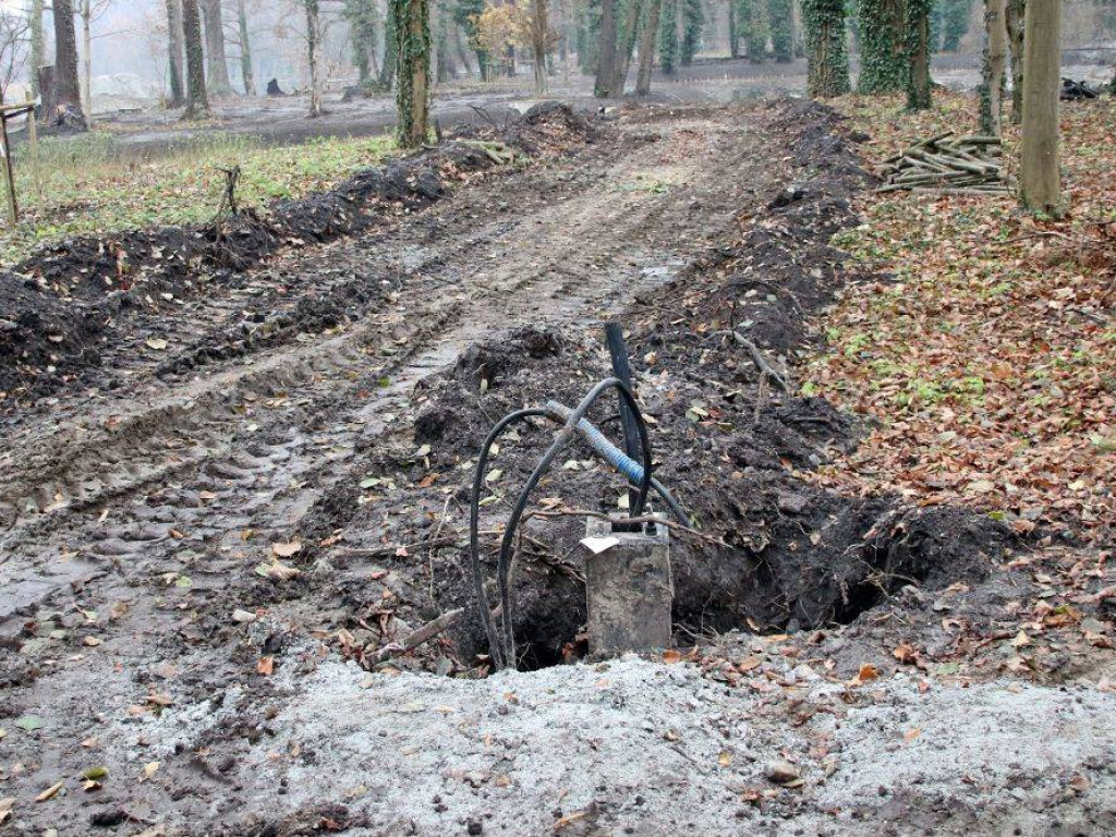 Park w Sławie będzie nie do poznania. Nowy mostek, ławki, posadzono już 100 drzew [Zdjęcia]