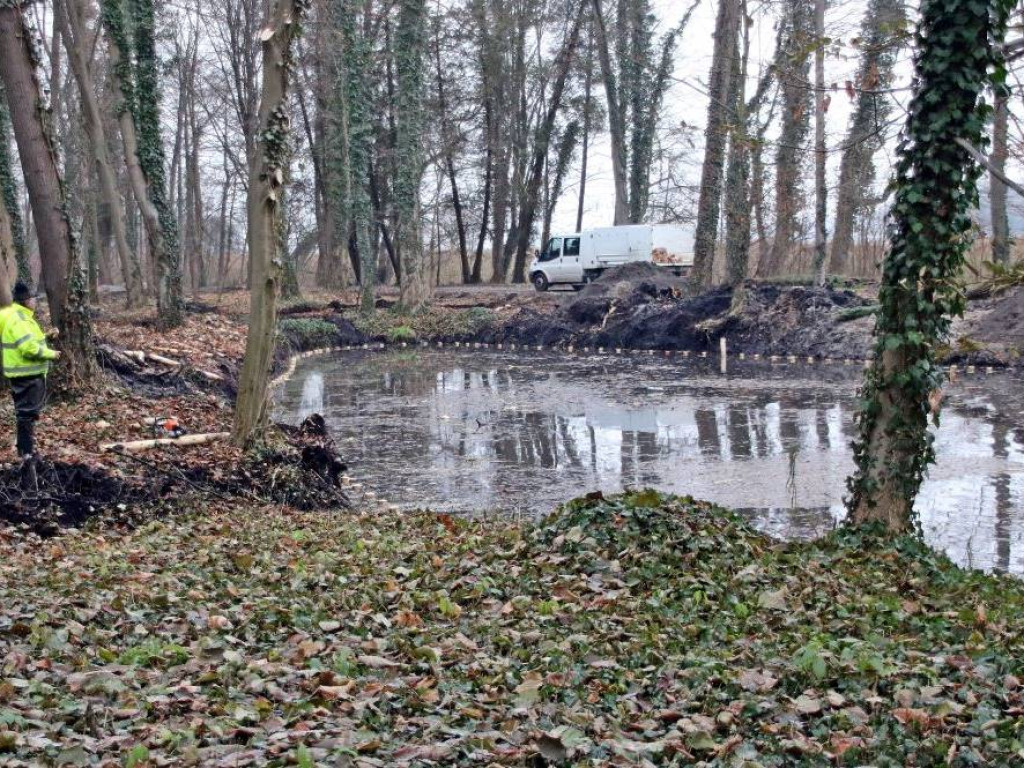 Park w Sławie będzie nie do poznania. Nowy mostek, ławki, posadzono już 100 drzew [Zdjęcia]