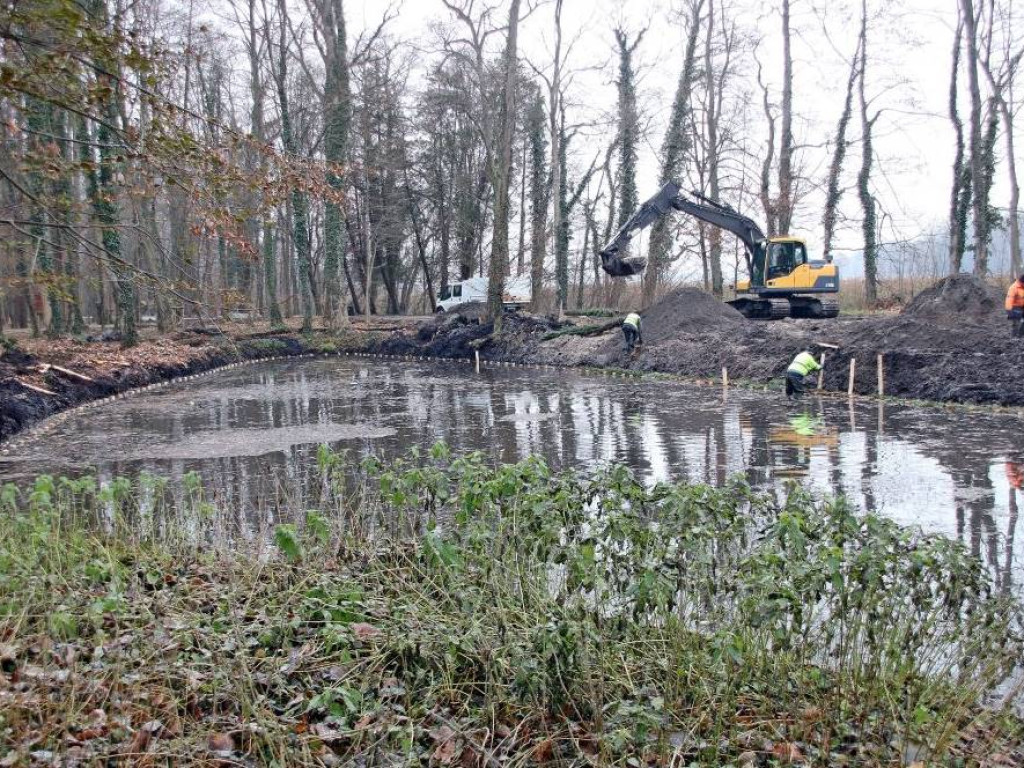 Park w Sławie będzie nie do poznania. Nowy mostek, ławki, posadzono już 100 drzew [Zdjęcia]