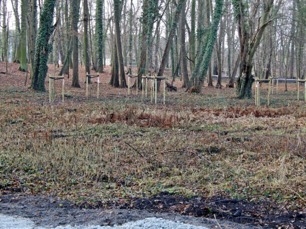 Park w Sławie pięknieje. Będzie służył turystom i mieszkańcom