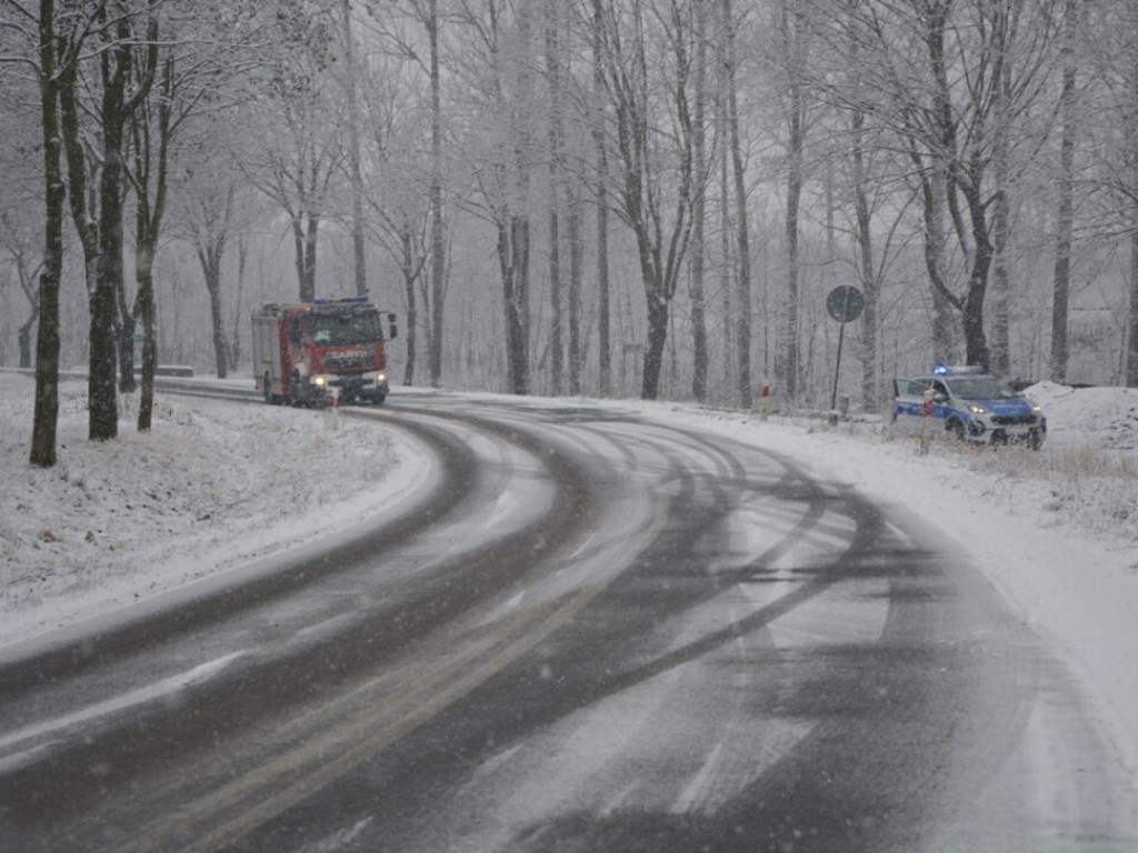 Auto wypadło z drogi [Zdjęcia]