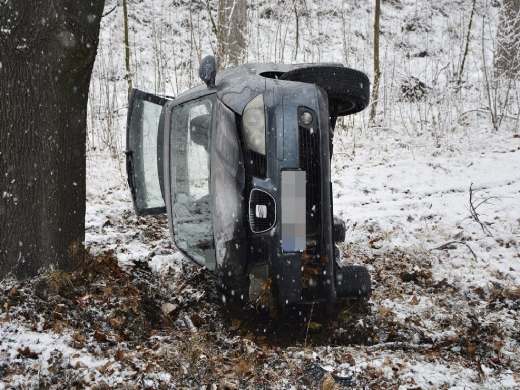 Auto wypadło z drogi [Zdjęcia]