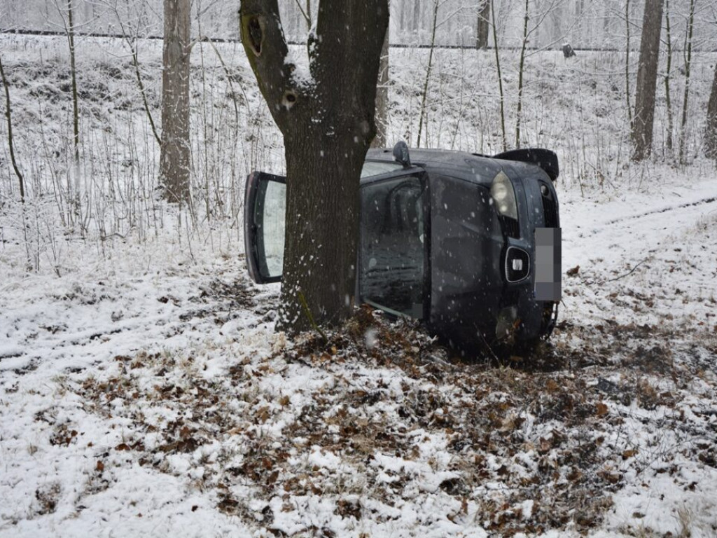 Auto wypadło z drogi [Zdjęcia]