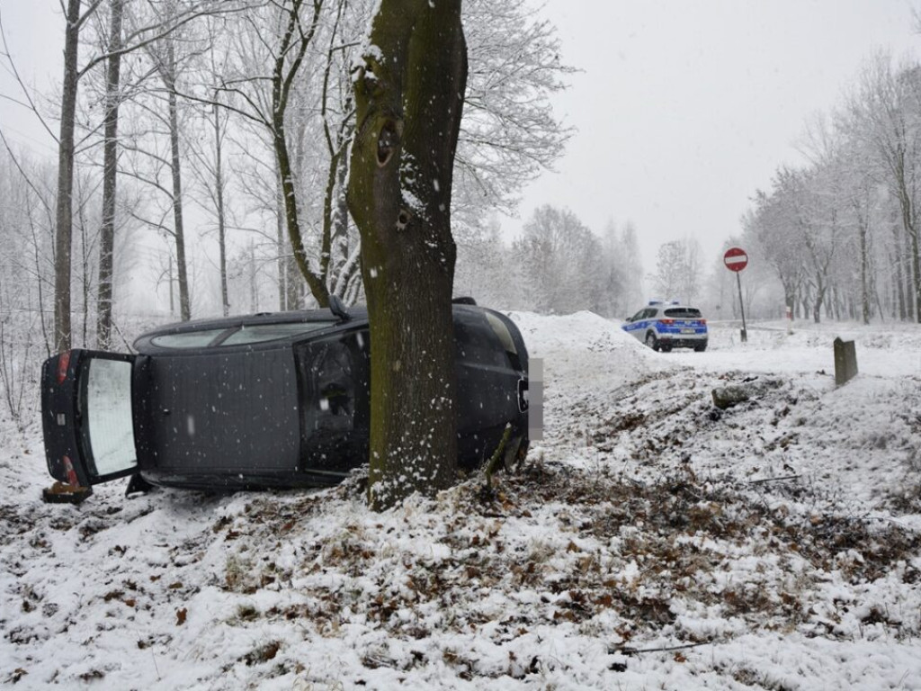 Auto wypadło z drogi [Zdjęcia]