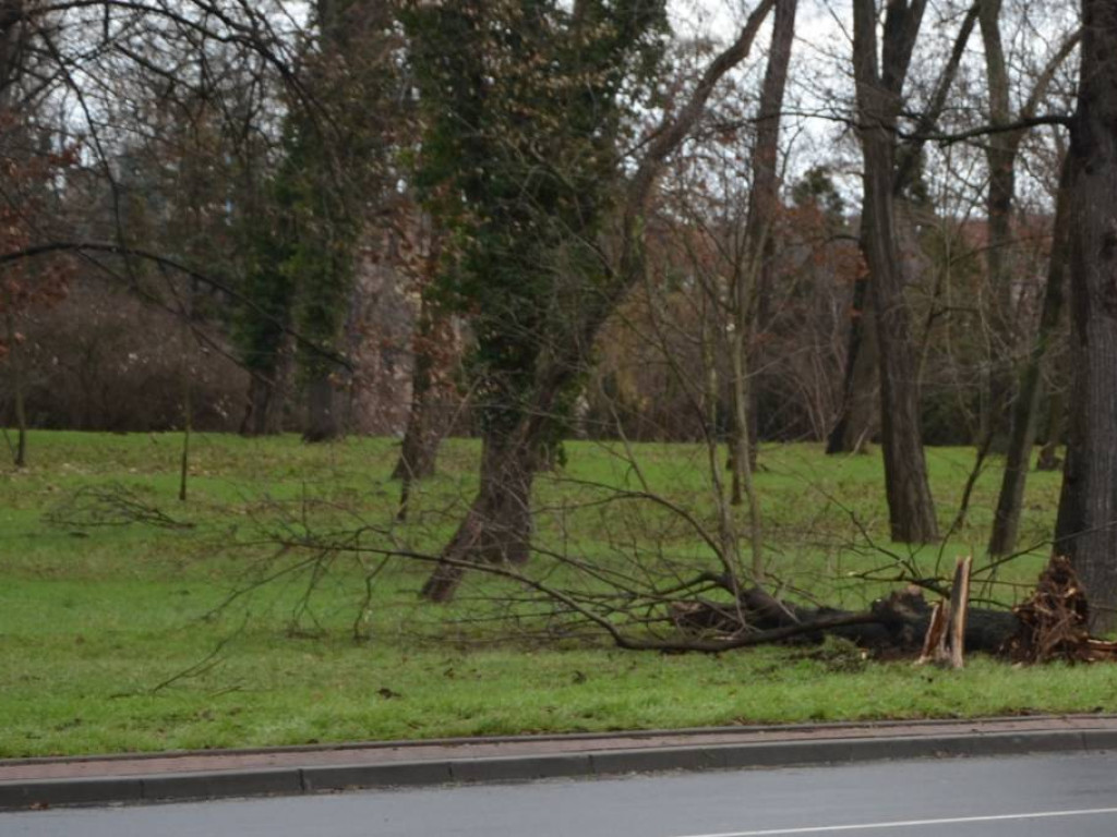Sprzątają na rondzie po ostatnim zderzeniu