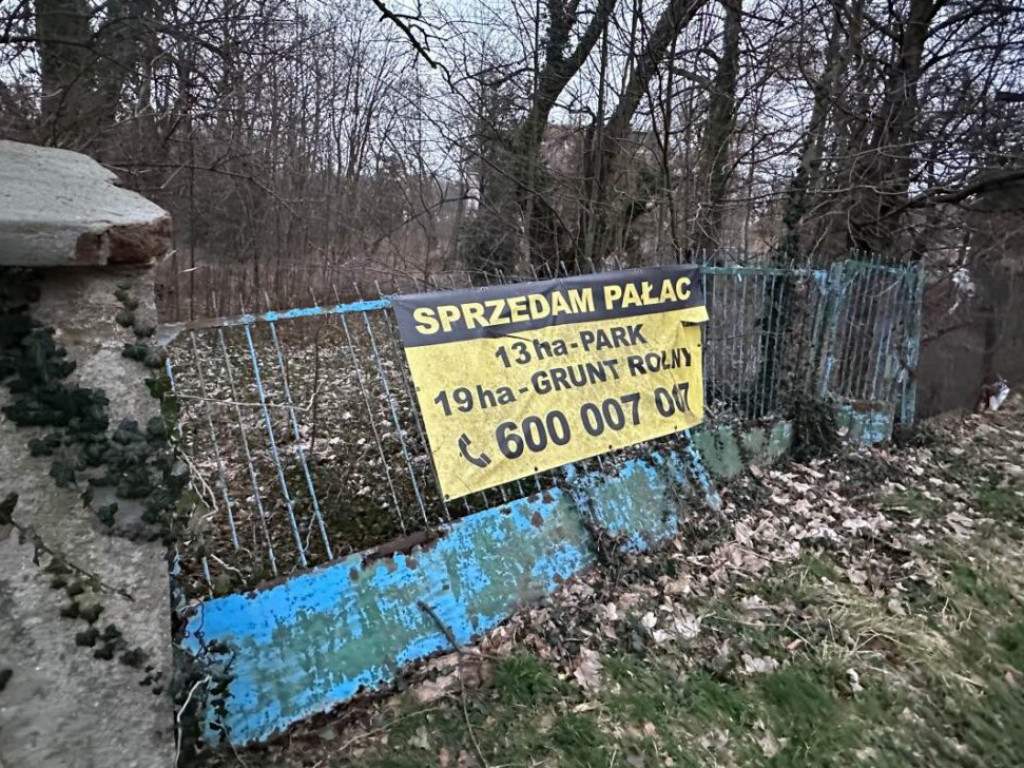 Tanio kupić, drogo sprzedać. Czy Rutkowski kupił pałac w Szczepowie jako flip?