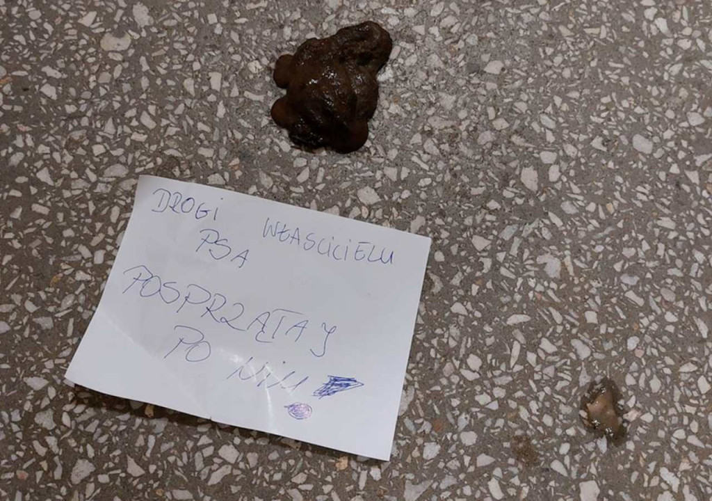 Załatwił się i rozsmarował swoje fekalia na klatce