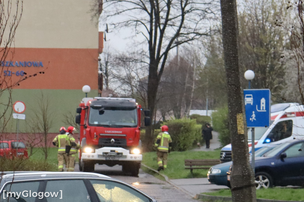 Libacja przed przedszkolem