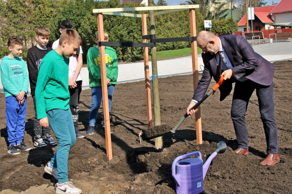 Sadzili dęby na pl. Pamięci Narodowej