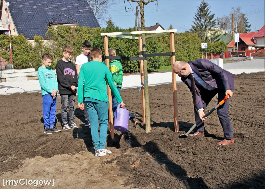 Sadzili dęby na pl. Pamięci Narodowej