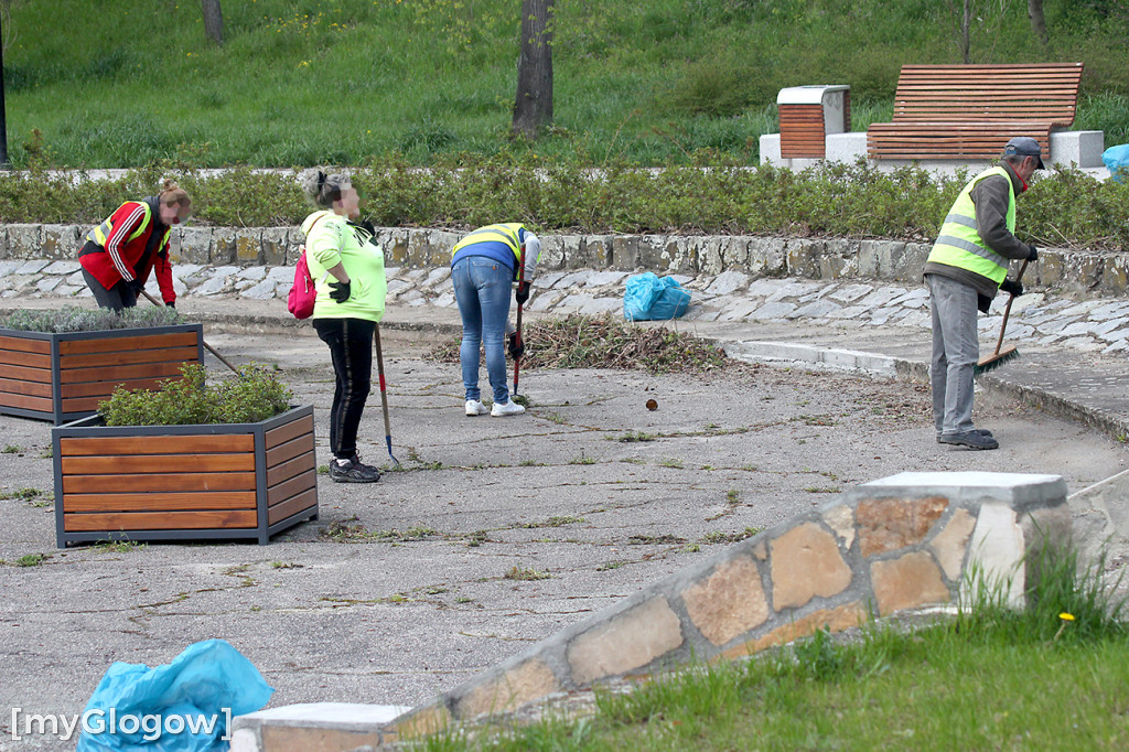 Będzie wniosek o przebudowę niecki w Parku Sapera