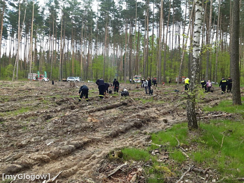 Posadzili Las Pamięci Jana Pawła II
