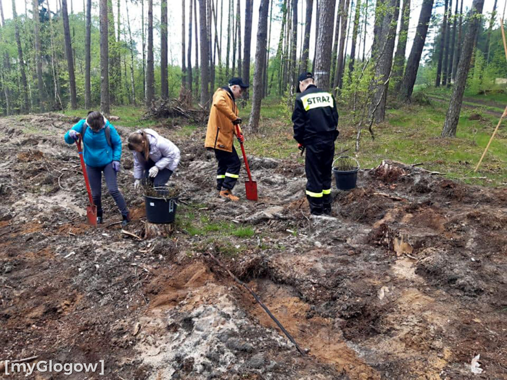 Posadzili Las Pamięci Jana Pawła II