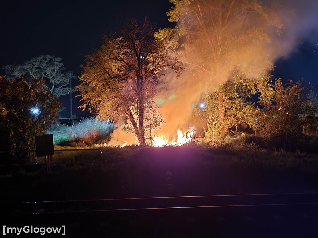 Nocny pożar traw przy Żarkowskiej