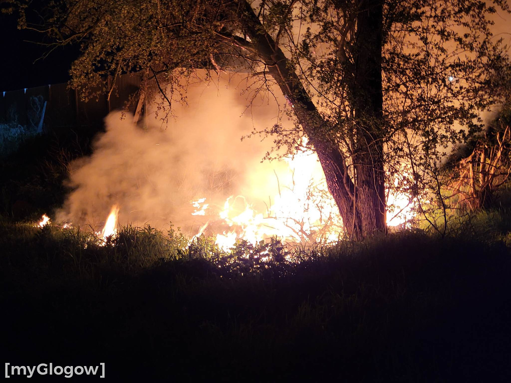 Nocny pożar traw przy Żarkowskiej