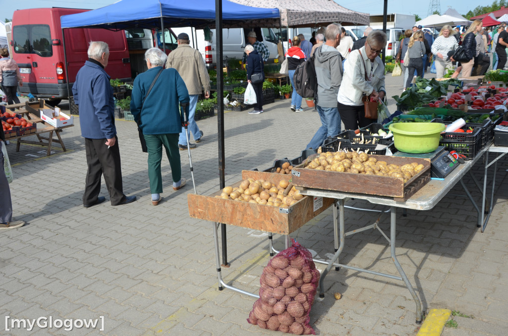 Tłumy na targowisku w Głogowie