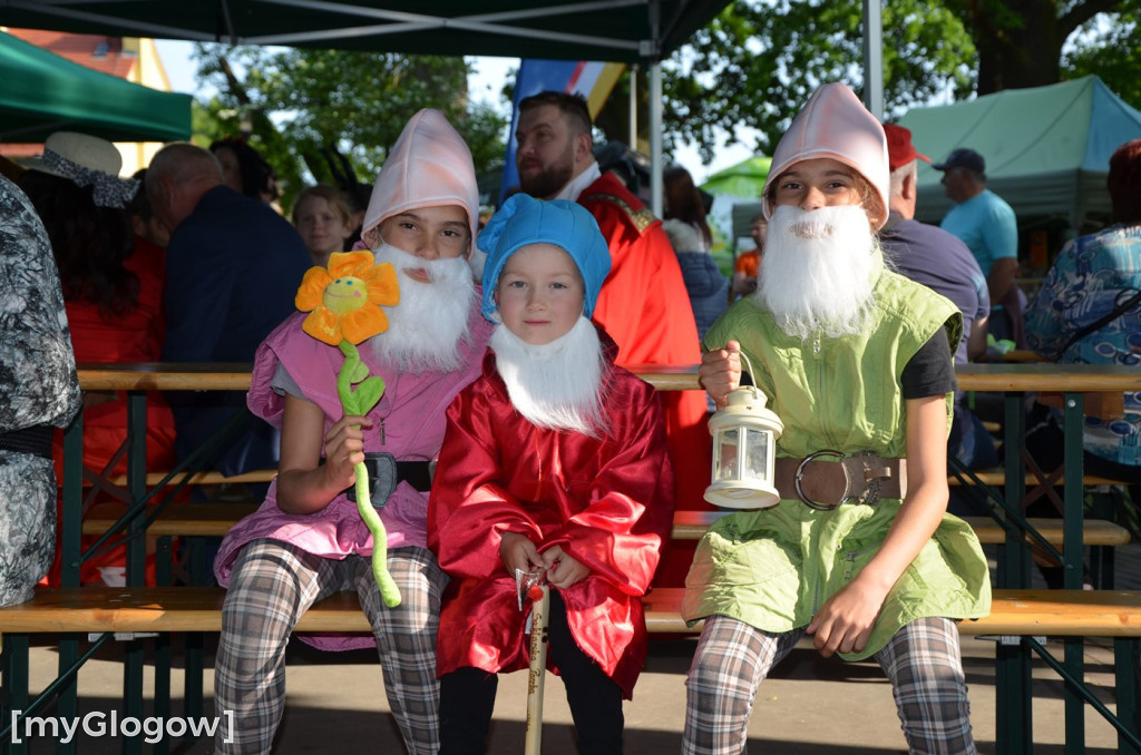 XXVII Turniej Wsi Grębocicki Disneyland