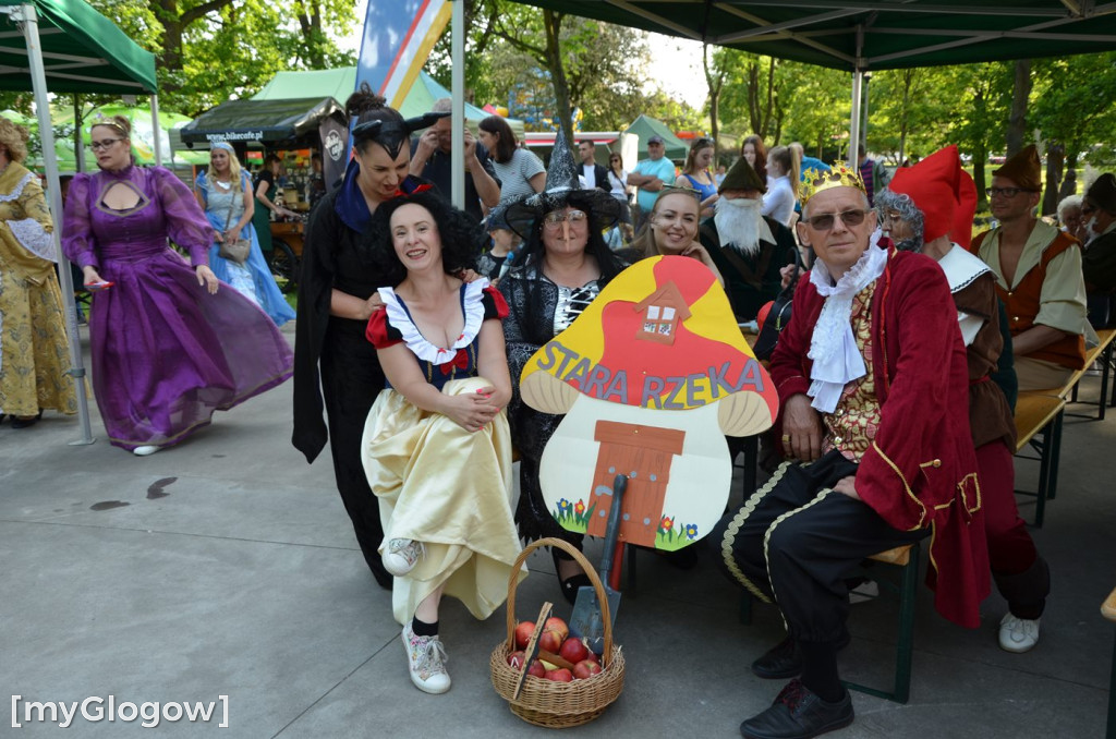 XXVII Turniej Wsi Grębocicki Disneyland