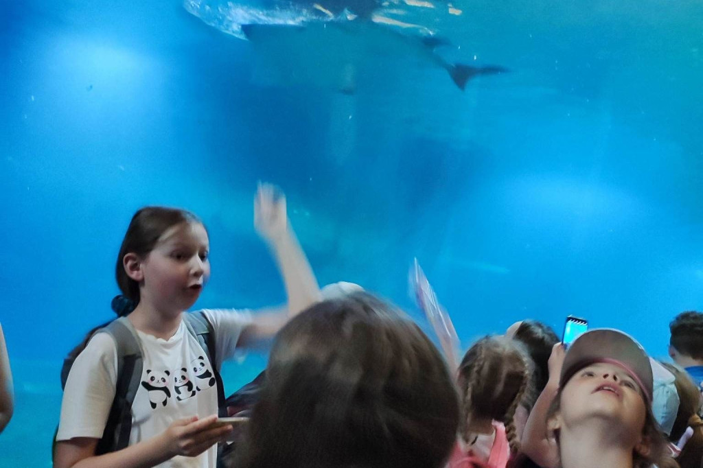 Oko w oko z tygrysem. Uczniowie z Nielubii w ZOO