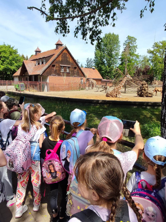 Oko w oko z tygrysem. Uczniowie z Nielubii w ZOO