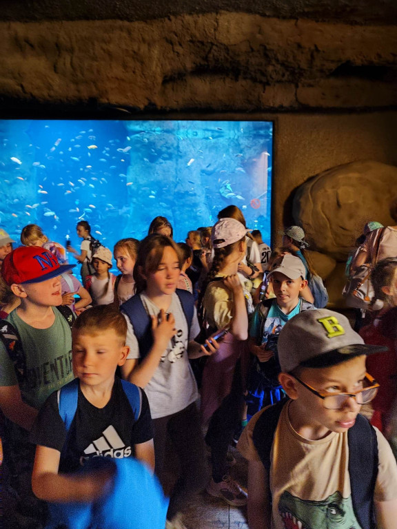 Oko w oko z tygrysem. Uczniowie z Nielubii w ZOO