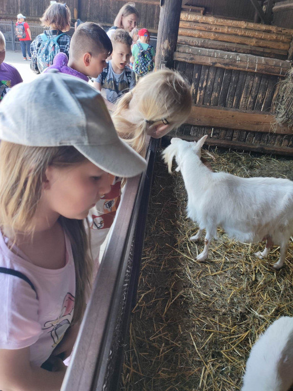 Oko w oko z tygrysem. Uczniowie z Nielubii w ZOO