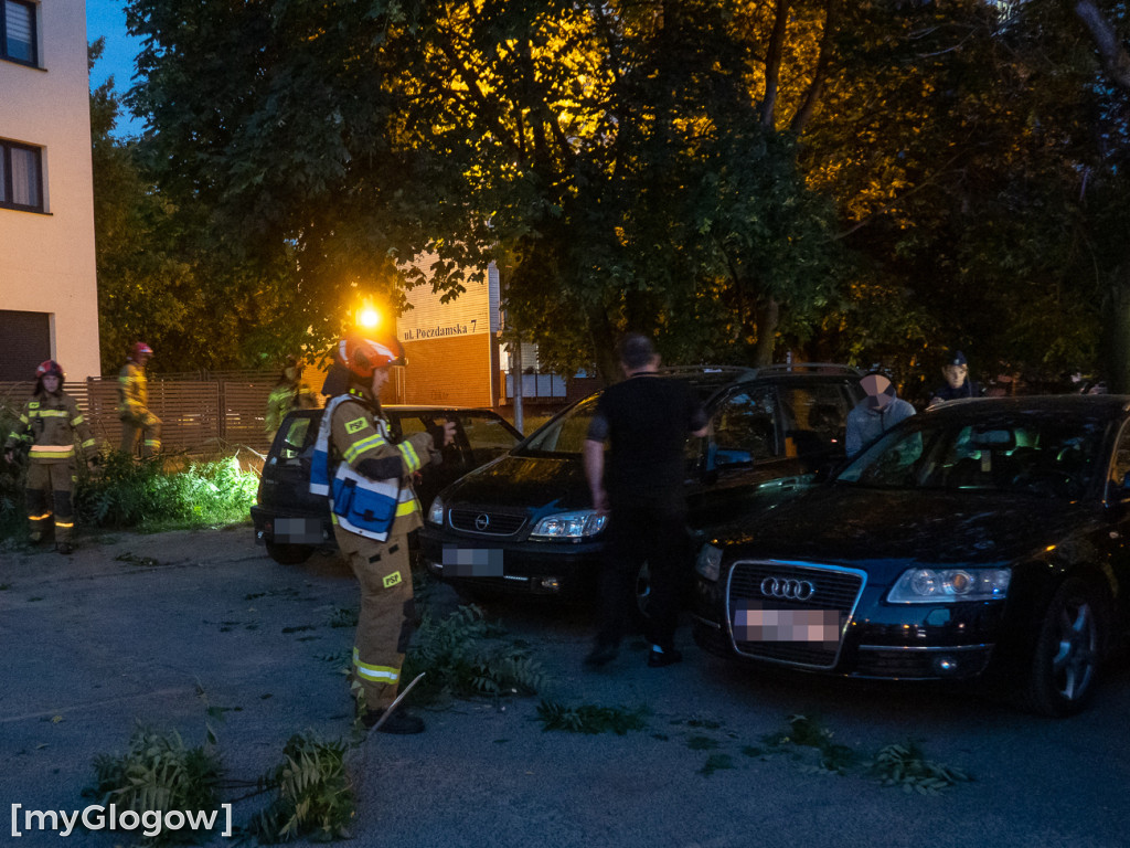Obłamany konar spadł na samochody