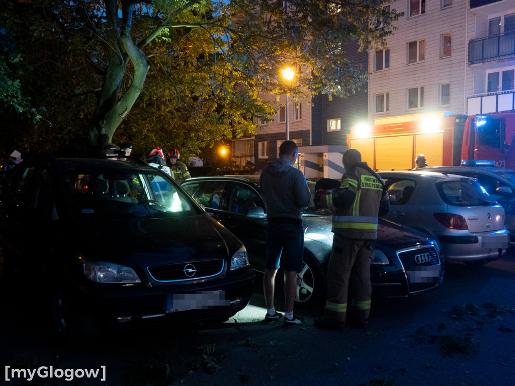 Obłamany konar spadł na samochody