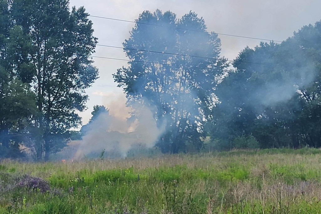 Pożar nieużytków na Piastowie