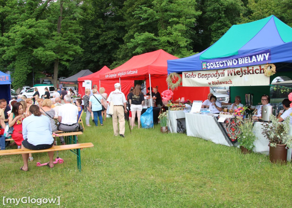 Bitwa Regionów i festiwal talentów w Sławie