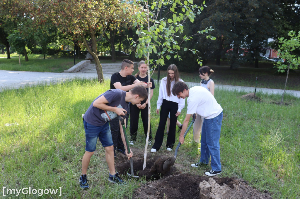XIV Imieniny Jana z Głogowa