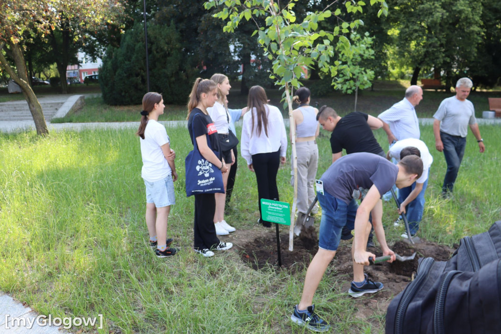XIV Imieniny Jana z Głogowa
