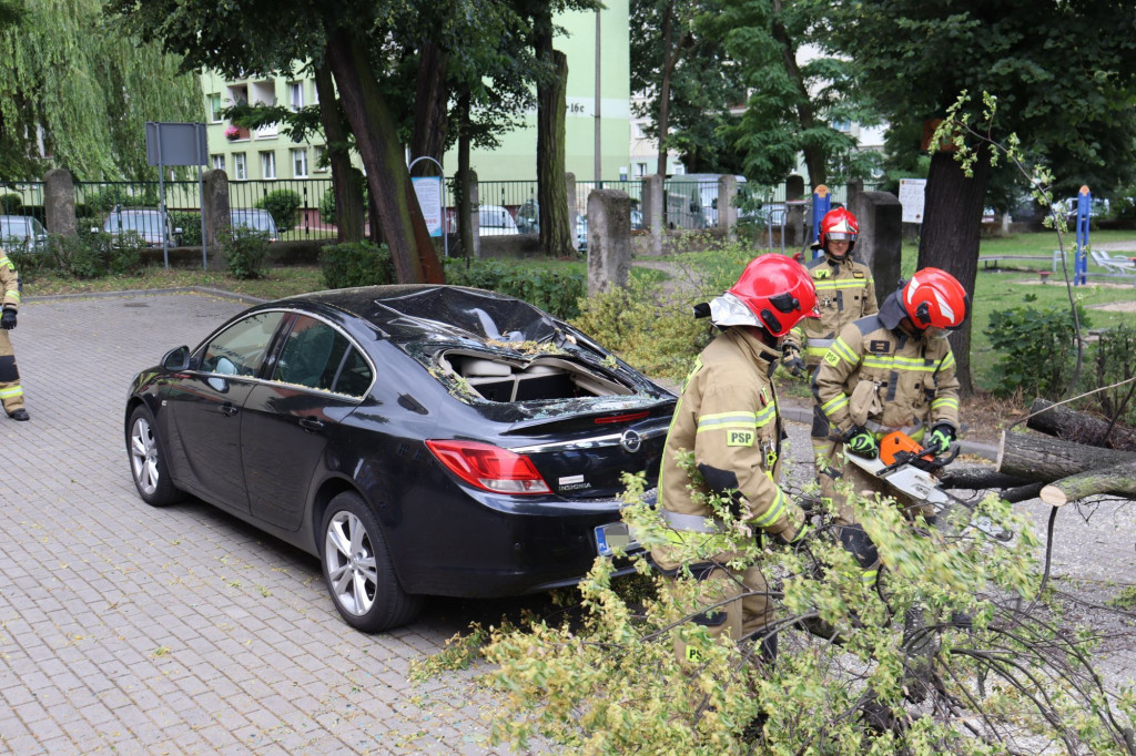 Samochód zgnieciony przez gałąź pod Mechanikiem