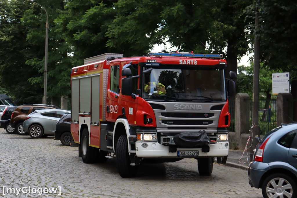 Samochód zgnieciony przez gałąź pod Mechanikiem