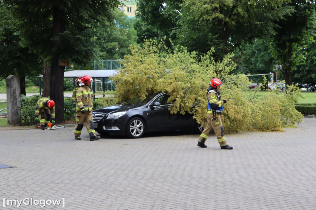 Samochód zgnieciony przez gałąź pod Mechanikiem