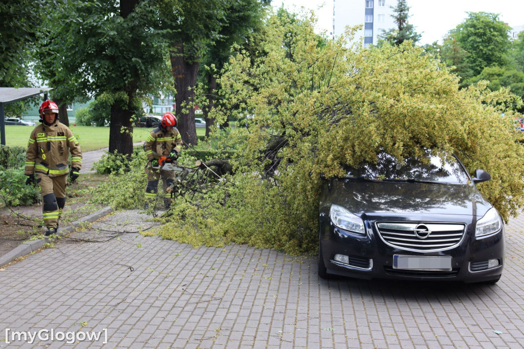 Samochód zgnieciony przez gałąź pod Mechanikiem