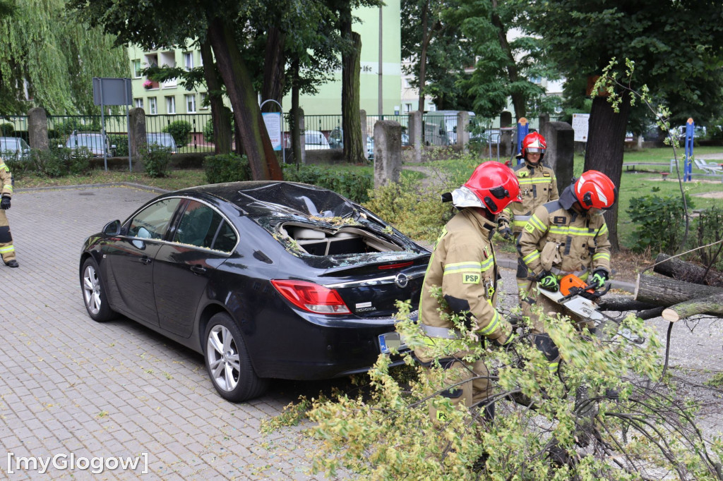 Samochód zgnieciony przez gałąź pod Mechanikiem