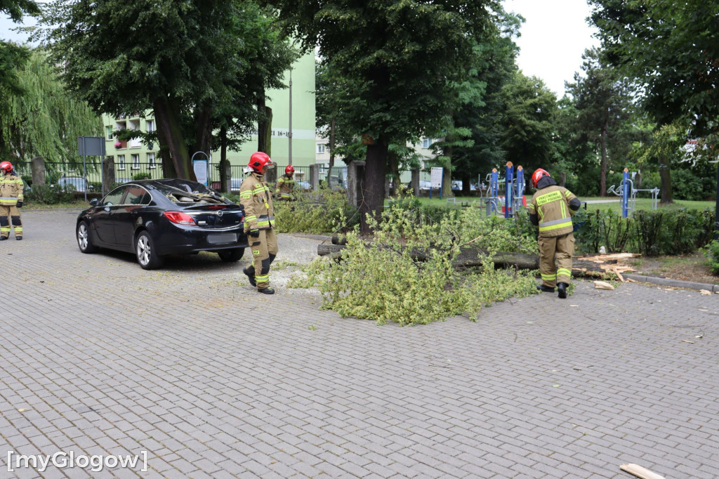 Samochód zgnieciony przez gałąź pod Mechanikiem