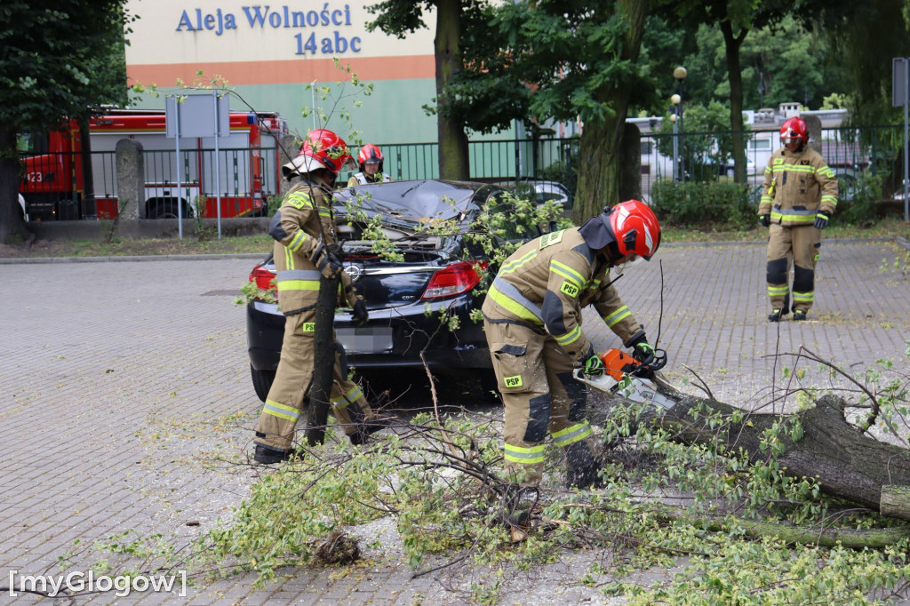 Samochód zgnieciony przez gałąź pod Mechanikiem