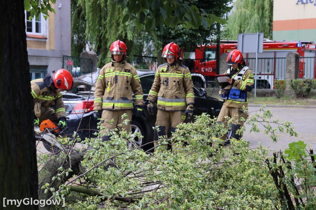 Samochód zgnieciony przez gałąź pod Mechanikiem