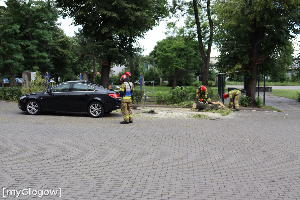 Samochód zgnieciony przez gałąź pod Mechanikiem