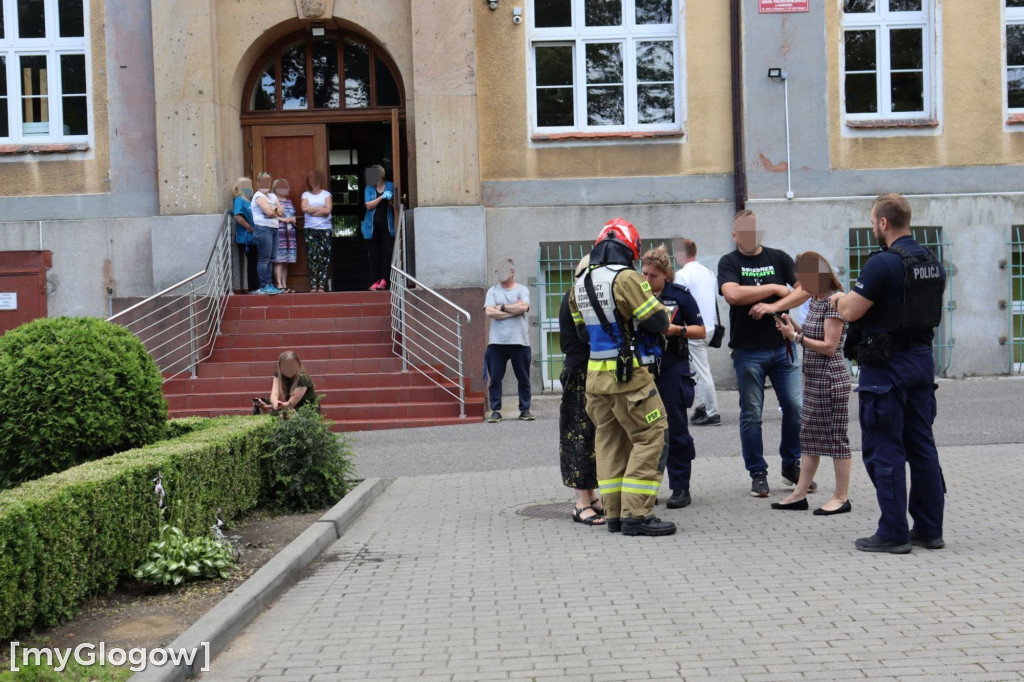 Samochód zgnieciony przez gałąź pod Mechanikiem