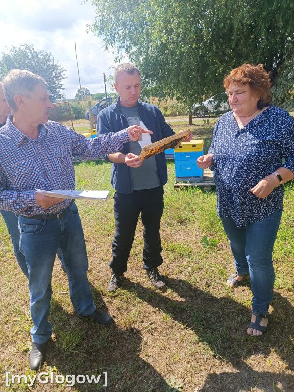 V edycja konkursu Wzorowa Pasieka Gminy Grębocice