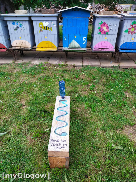V edycja konkursu Wzorowa Pasieka Gminy Grębocice