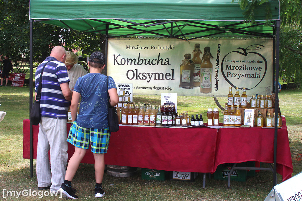 Dalków. Bliżej Twórców